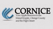 Cornice
