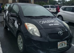 One of our Cowabunga Cow Cars