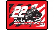 22 Zebras