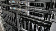 Networking & Consultation