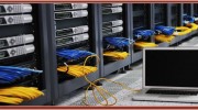 Business Networks