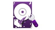 Data Backup & Recovery